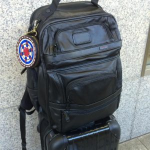 Tumi Alpha backpack on carry-on